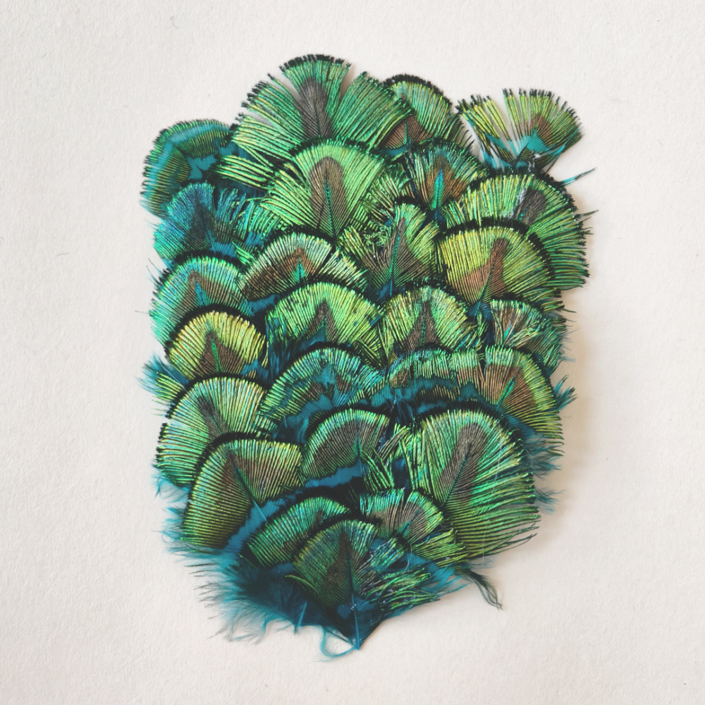 RL-PPL Natural Peacock Feather Pad For Millinery & Costume Trim 1 Piece