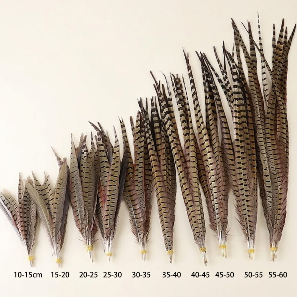 FEA1033 Natural Ringneck Pheasant Centre Feathers for Ascot Derby Millinery One Piece