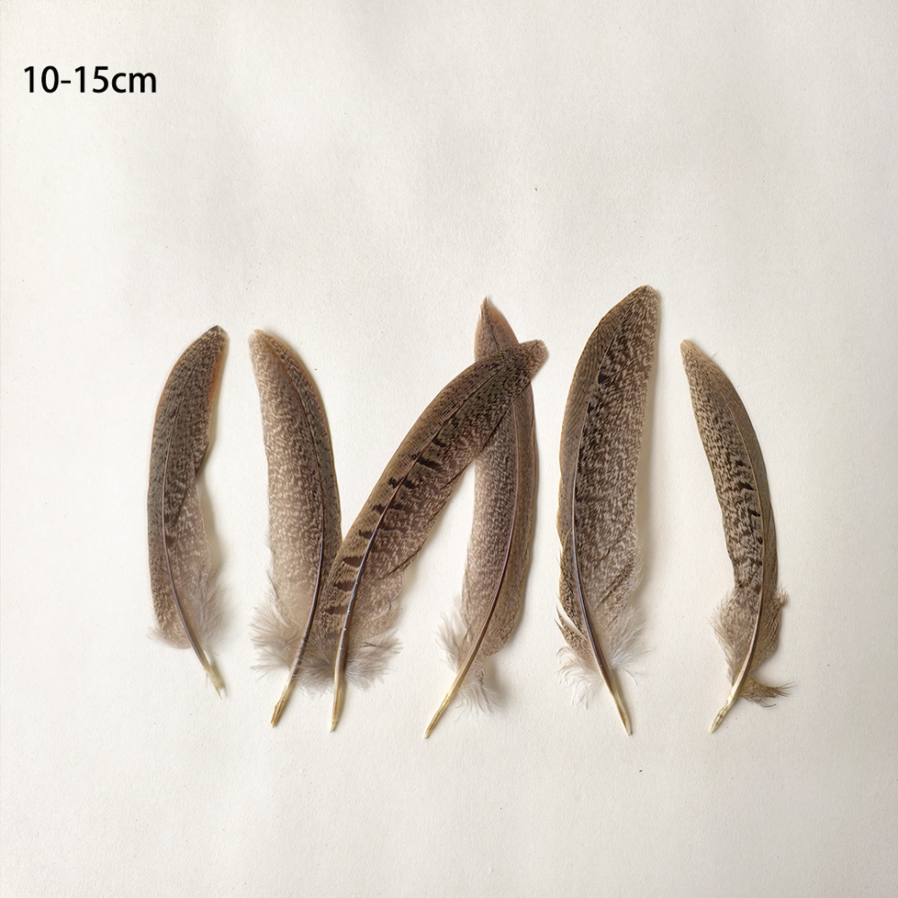 FEA1033 Natural Ringneck Pheasant Centre Feathers for Ascot Derby Millinery One Piece