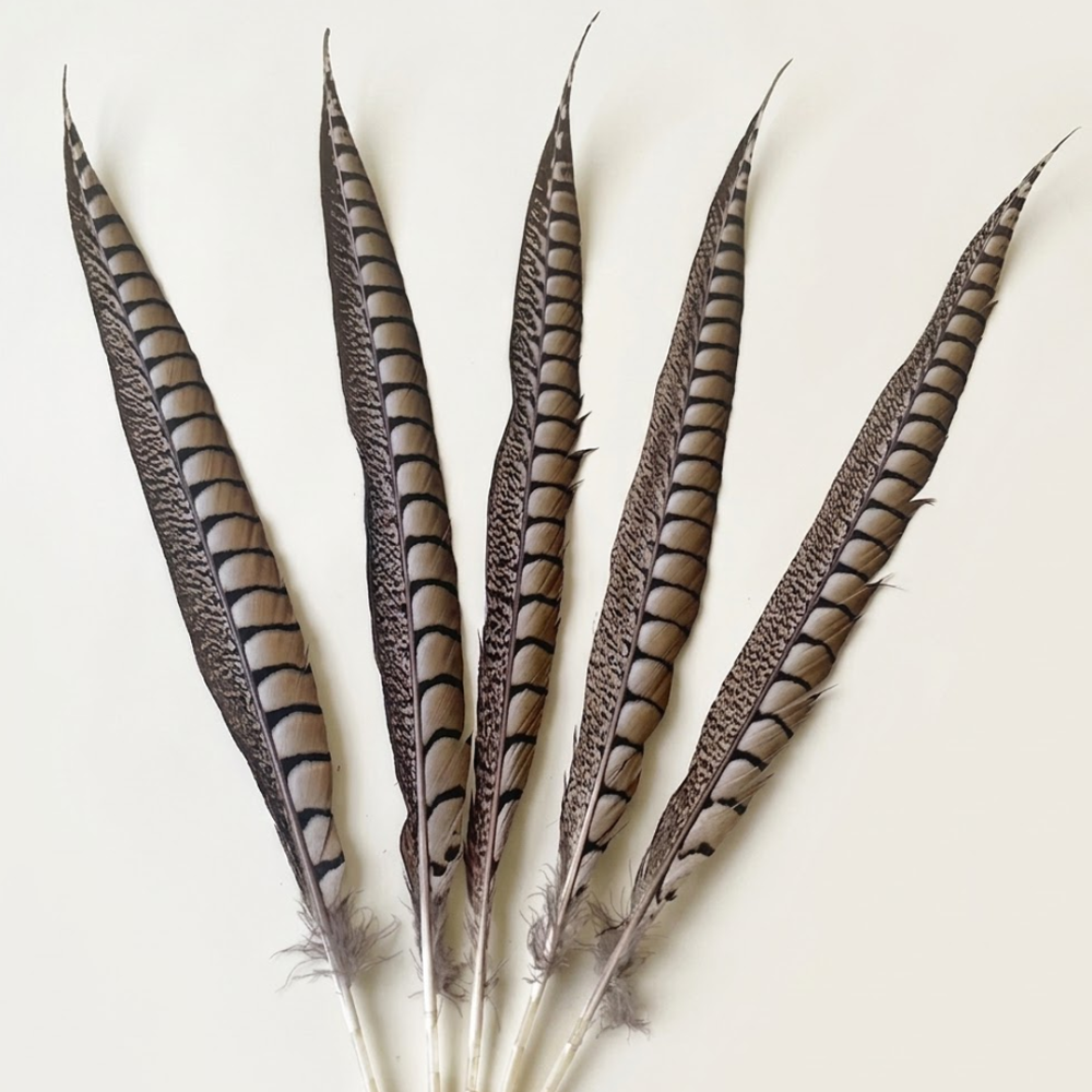 FEA1034 Natural Lady Amherst Pheasant Side Tail Feathers Millinery Racing Headwear One Piece