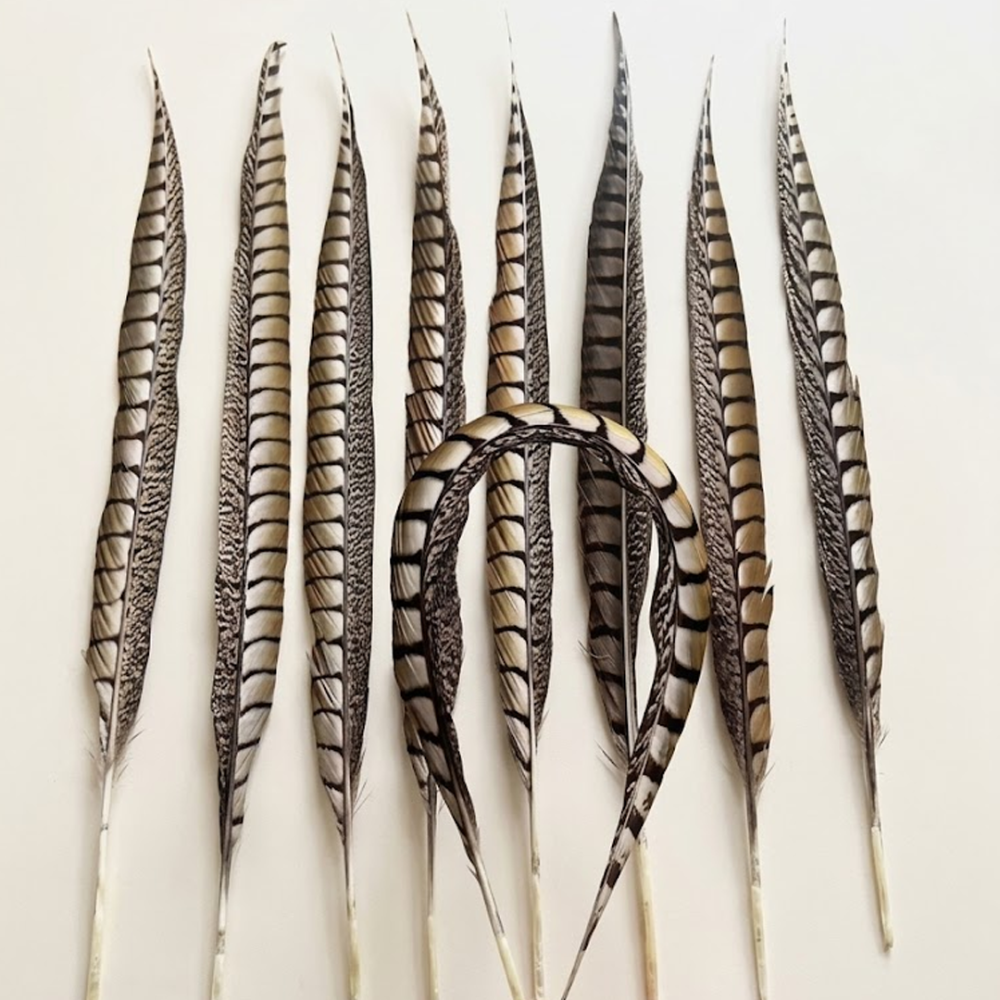 FEA1034 Natural Lady Amherst Pheasant Side Tail Feathers Millinery Racing Headwear One Piece