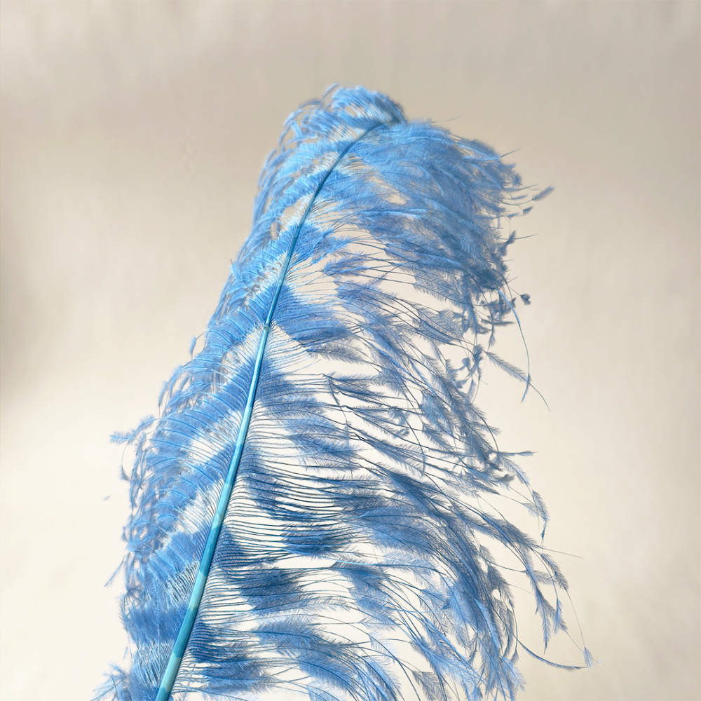 RL-TBL Burnt Ostrich Feather Plume Royal Ascot Kentucky Derby 55-60cm One Piece