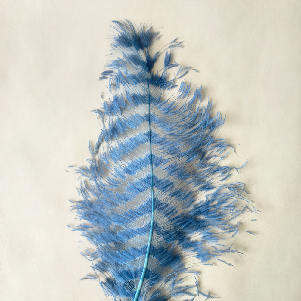 RL-TBL Burnt Ostrich Feather Plume Royal Ascot Kentucky Derby 55-60cm One Piece