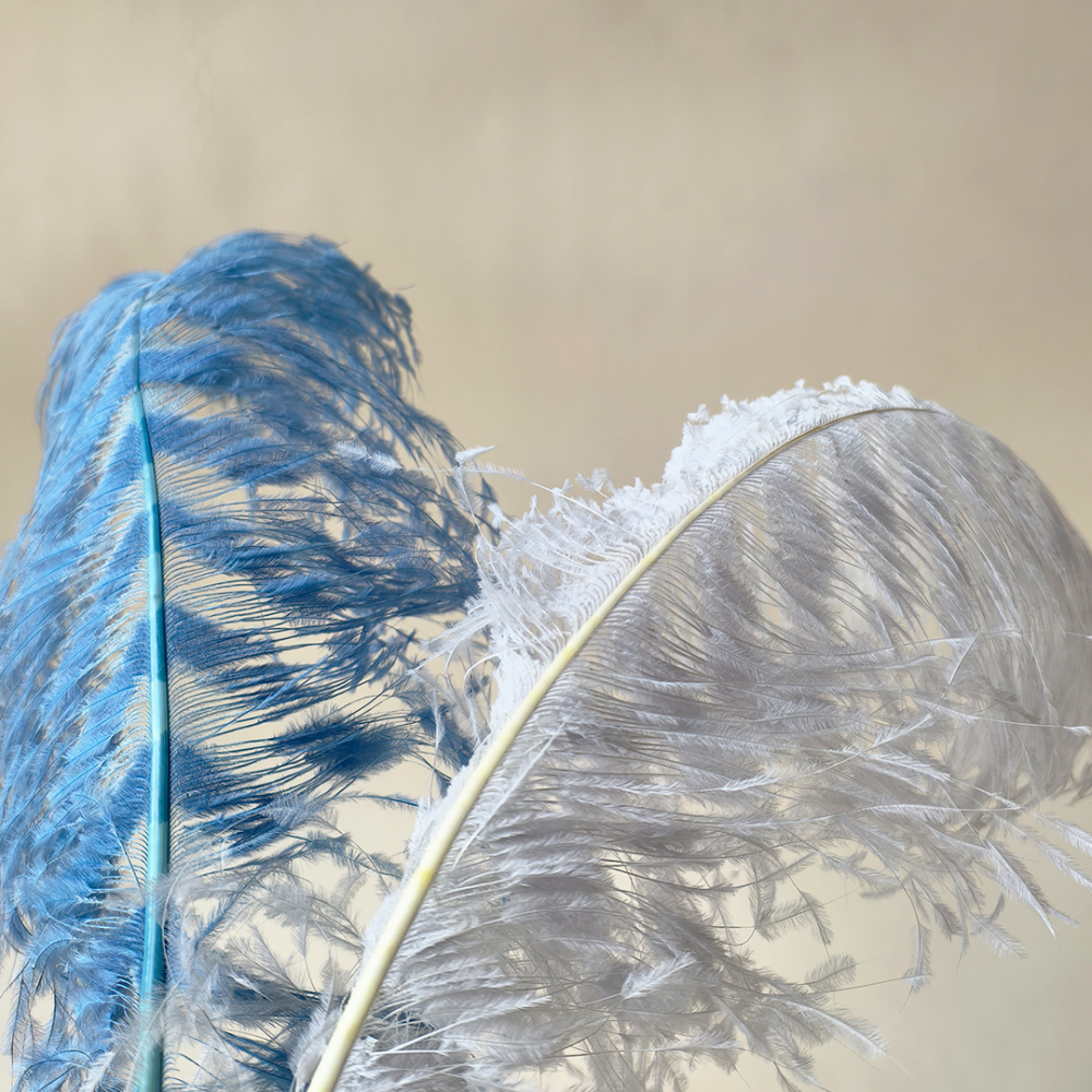 RL-TBL Burnt Ostrich Feather Plume Royal Ascot Kentucky Derby 55-60cm One Piece