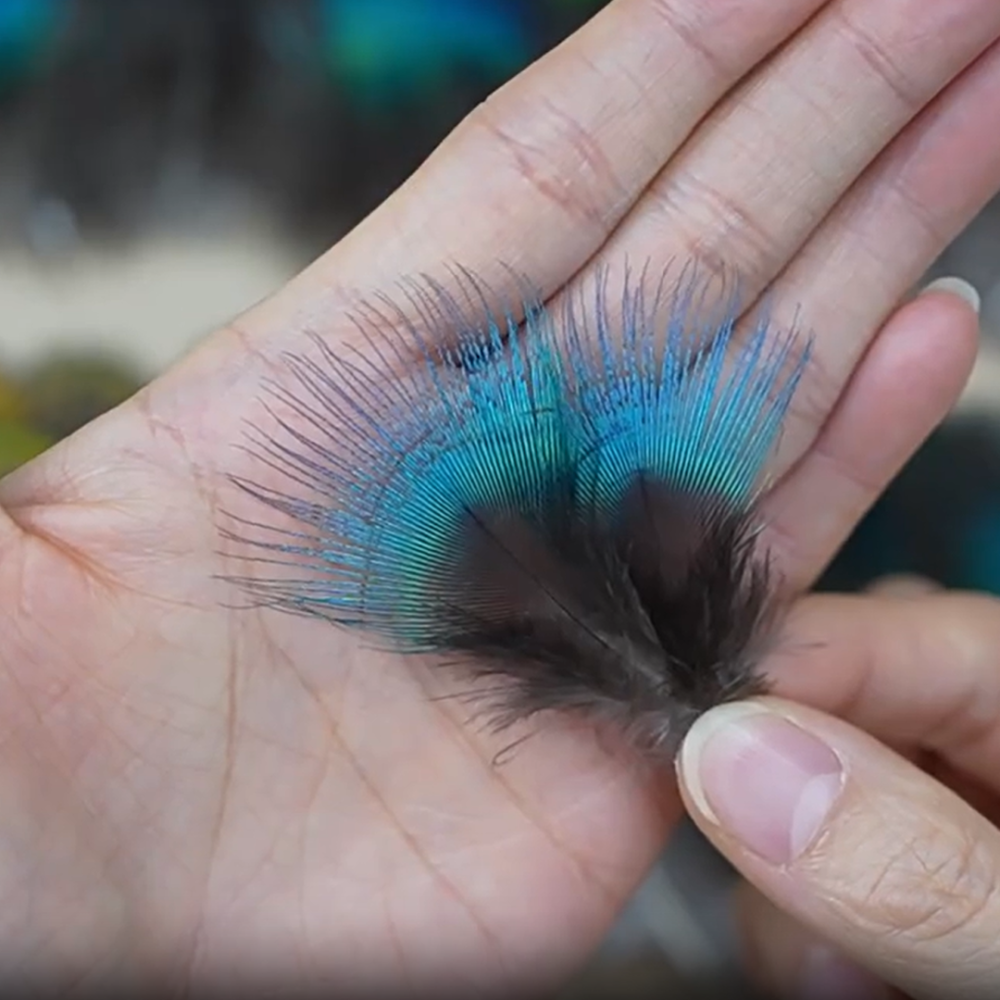 FEA1021 Small Iridescent Peacock Plumage Feathers for Ascot Derby Galway Millinery