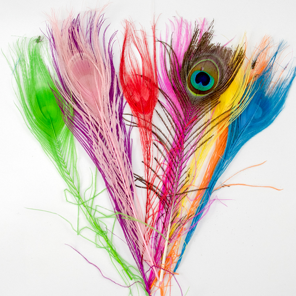 FEA1007-S Bleached & Hand-Dyed Peacock Eye Feather Plumes 25-30cm