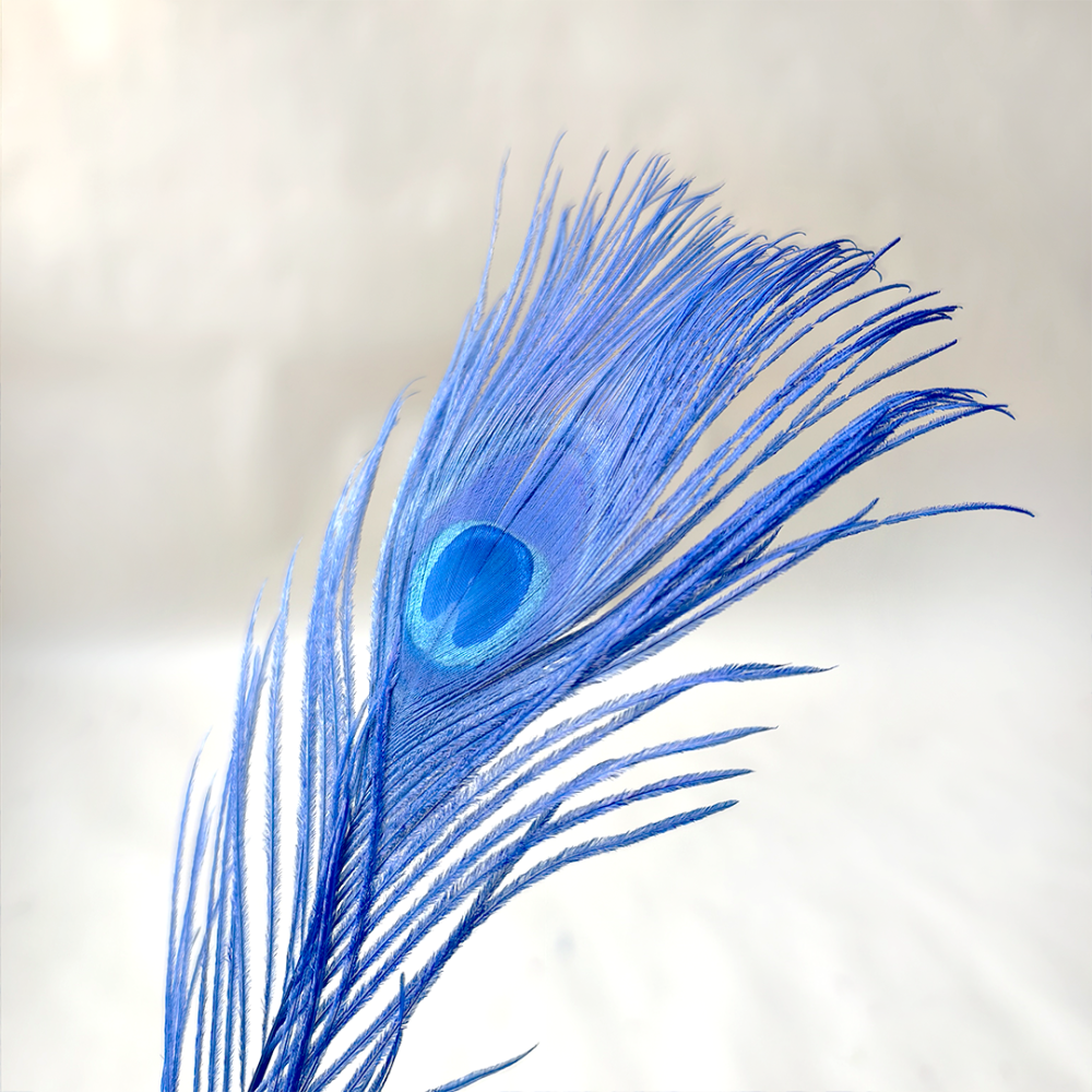 FEA1007-S Bleached & Hand-Dyed Peacock Eye Feather Plumes 25-30cm