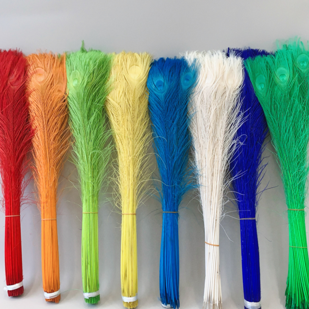 FEA1031 Dramatic Bleached Peacock Feathers in 11 Colors for Ascot & Derby 50-60cm