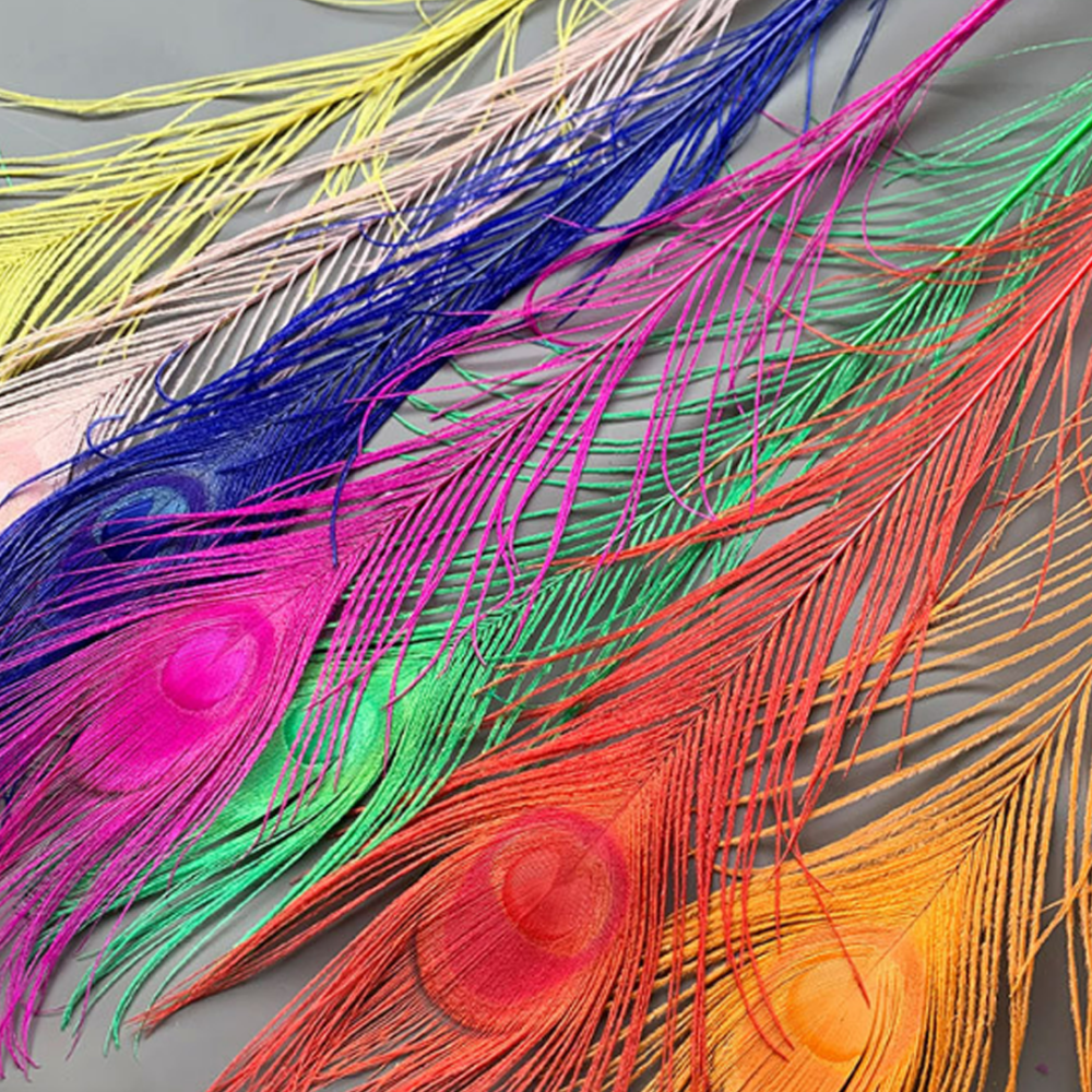 FEA1031 Dramatic Bleached Peacock Feathers in 11 Colors for Ascot & Derby 50-60cm