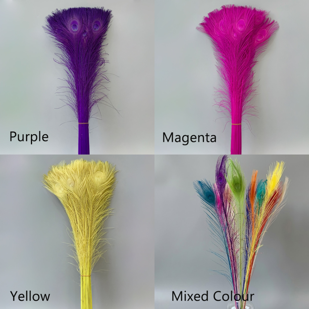 FEA1031 Dramatic Bleached Peacock Feathers in 11 Colors for Ascot & Derby 50-60cm