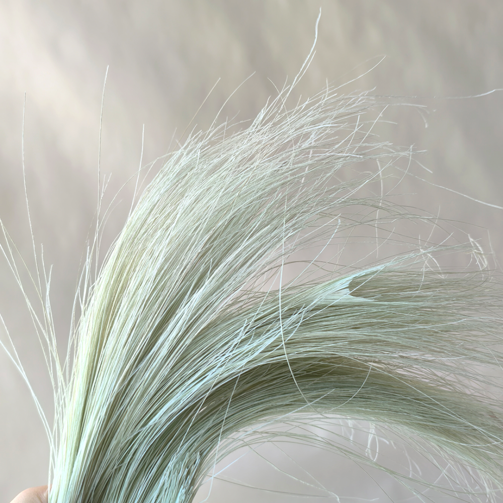Custom Order For the Burnt Peacock Flute  Feather 1.5 Meter