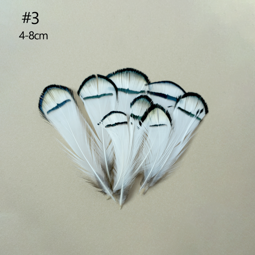 FEA1021-PH01 Natural Patterned Pheasant Feathers for Millinery & Bridal Headpieces 50pcs/ pack