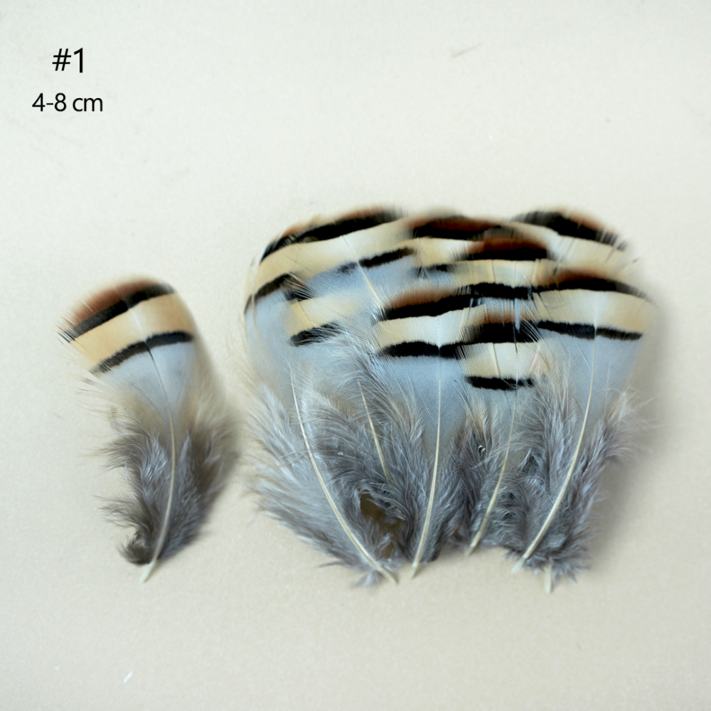 FEA1021-PH02 Natural Patterned Gamebird Plumage Feathers for Millinery & Derby Hats 50pcs/ pack