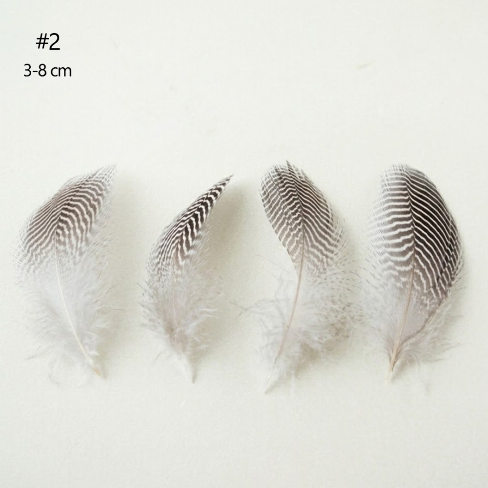 FEA1021-PH02 Natural Patterned Gamebird Plumage Feathers for Millinery & Derby Hats 50pcs/ pack