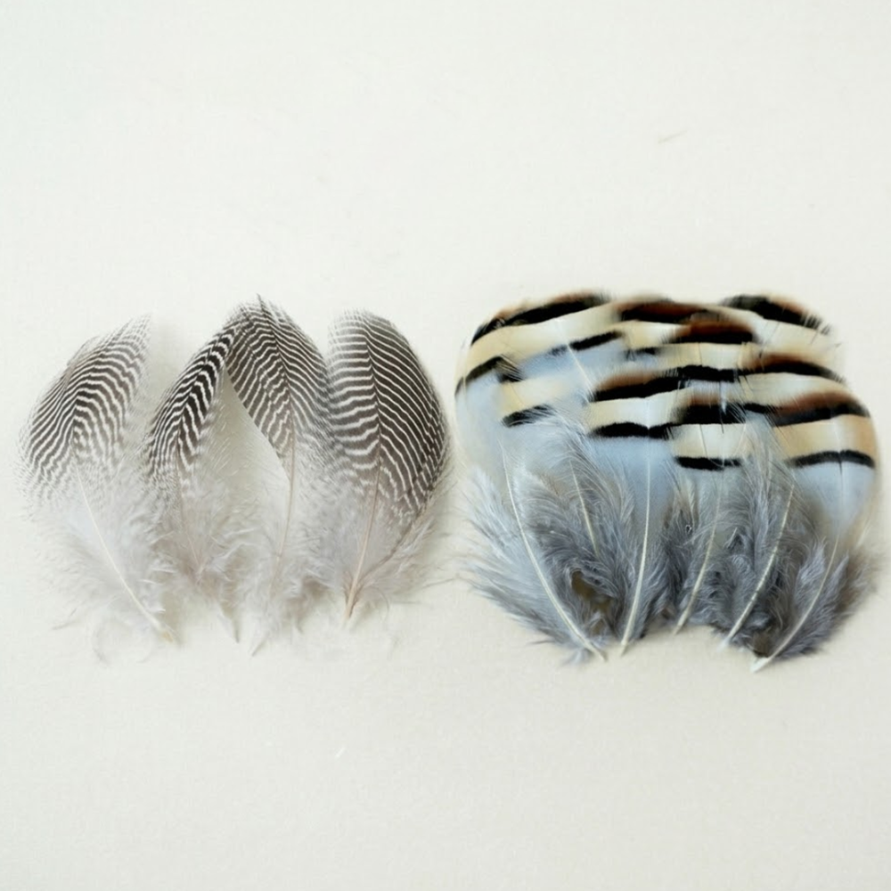 FEA1021-PH02 Natural Patterned Gamebird Plumage Feathers for Millinery & Derby Hats 50pcs/ pack
