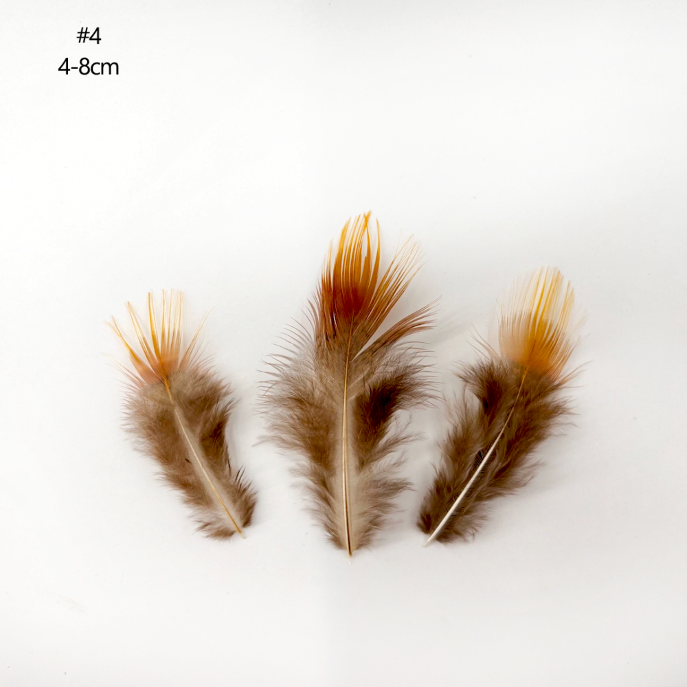 FEA1021-PH03 Fringed-Tip Pheasant Feathers for Couture Millinery & Derby Hats 50pcs/ pack