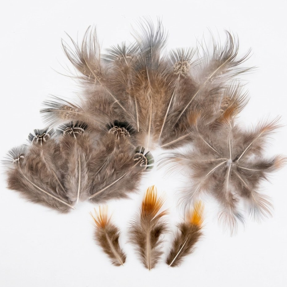 FEA1021-PH03 Fringed-Tip Pheasant Feathers for Couture Millinery & Derby Hats 50pcs/ pack