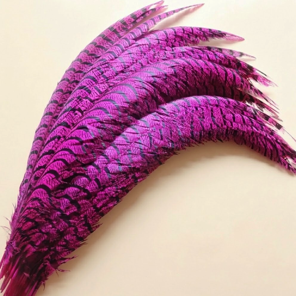 FEA1043 Curved Lady Amherst Pheasant Side Tail Feather 75-85cm for Royal Races & Couture Millinery One Piece