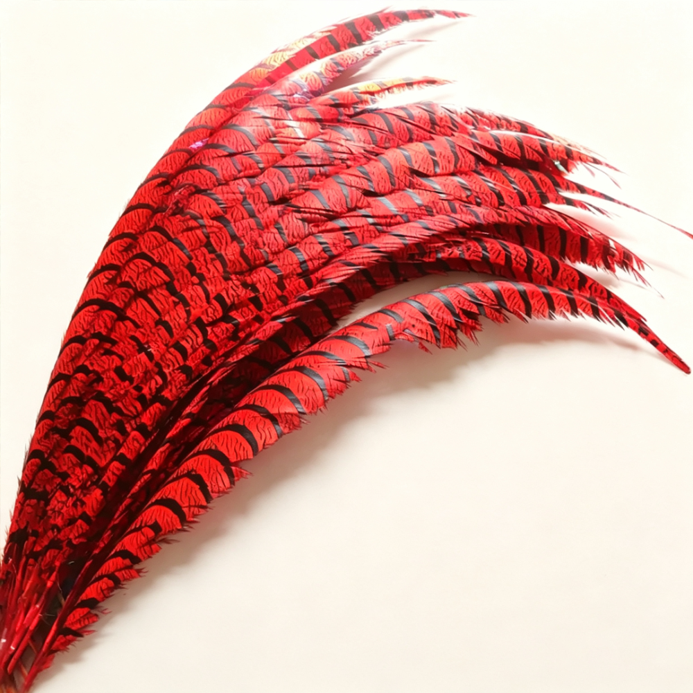 FEA1043 Curved Lady Amherst Pheasant Side Tail Feather 75-85cm for Royal Races & Couture Millinery One Piece