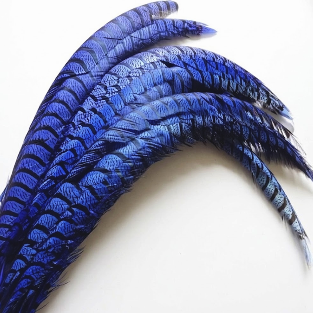 FEA1043 Curved Lady Amherst Pheasant Side Tail Feather 75-85cm for Royal Races & Couture Millinery One Piece