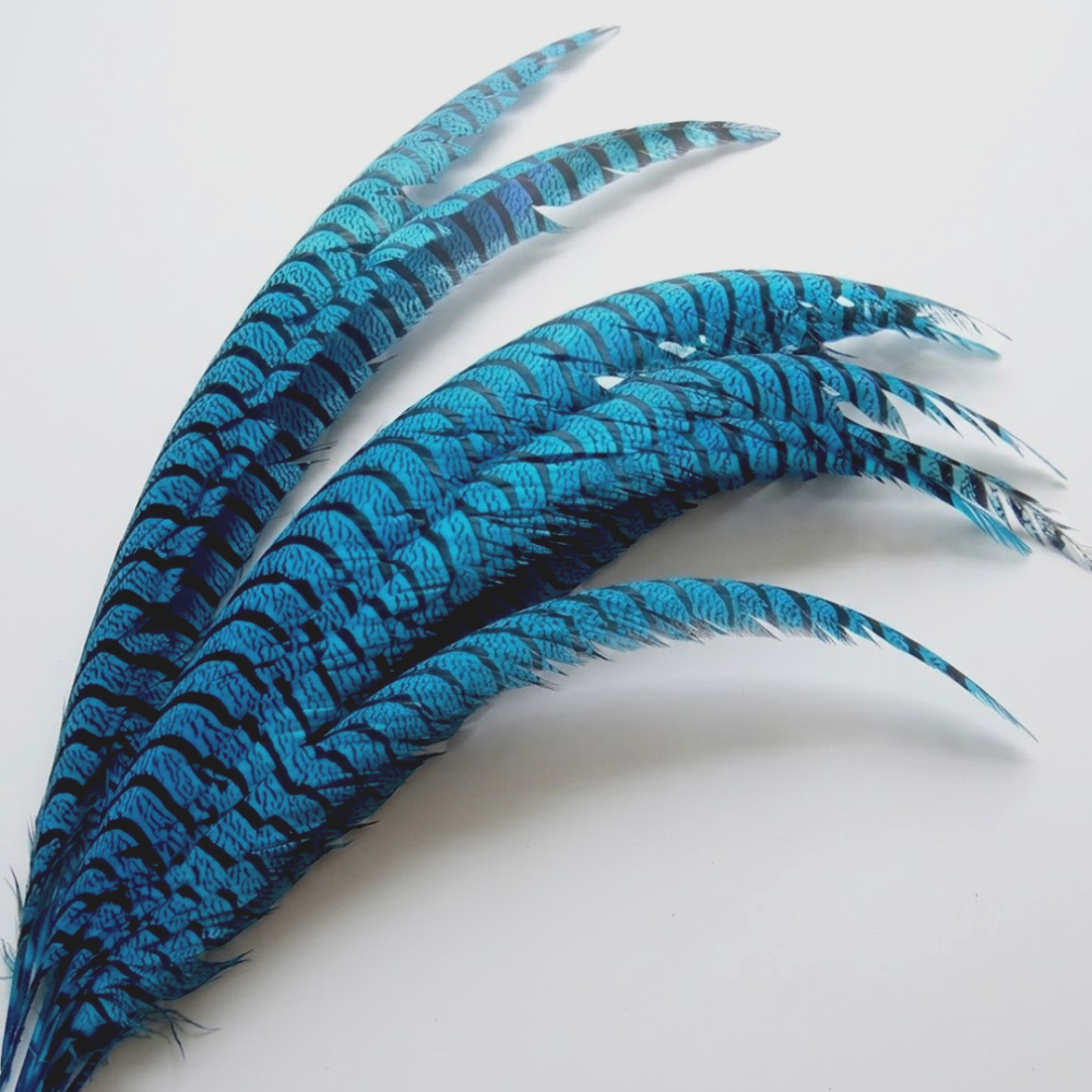FEA1043 Curved Lady Amherst Pheasant Side Tail Feather 75-85cm for Royal Races & Couture Millinery One Piece