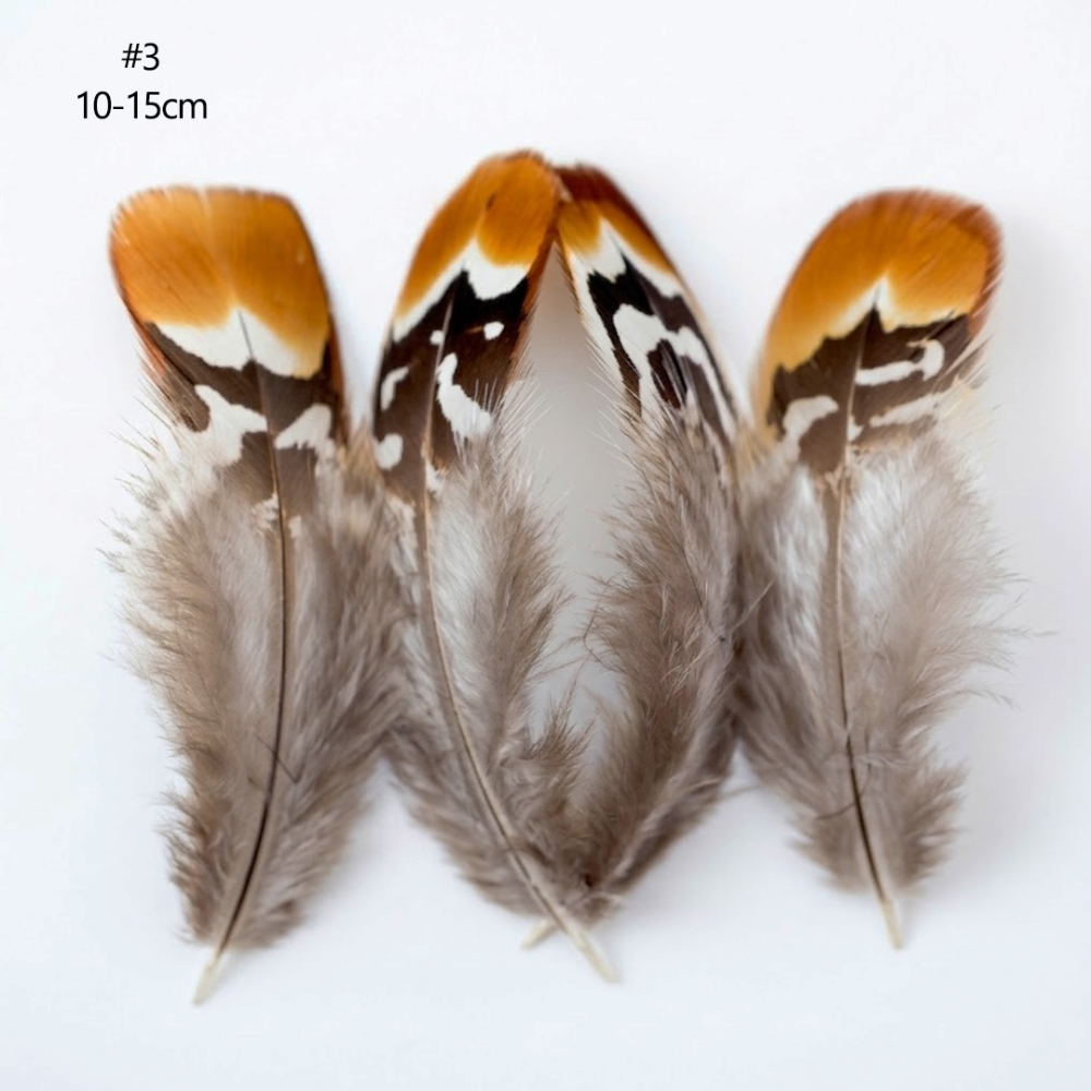 FEA1021-PH04 Geometric Patterned Pheasant Plumage Feathers for Millinery & Derby Headwear 50pcs/ pack