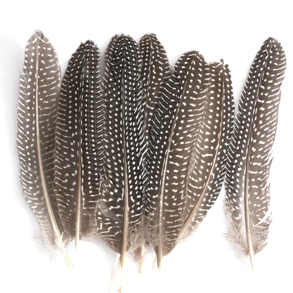 FEA1044 Graphic Spotted Guinea Fowl Wing Feathers for Couture Millinery & Racing Headwear 10pcs/ pack