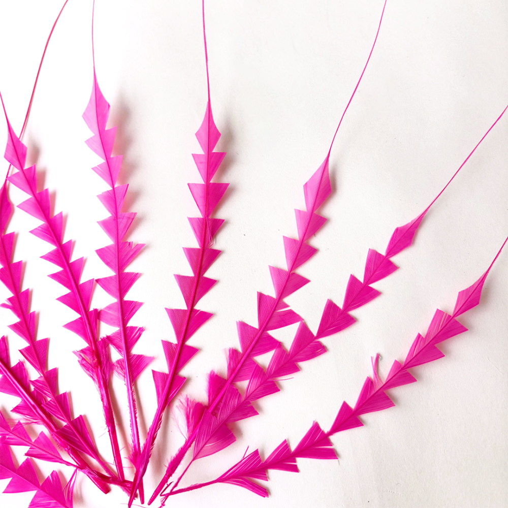FEA1040 Serrated Arrow-Cut Coque Feathers for Sculptural Millinery & Racing Fashion 25pcs/ pack