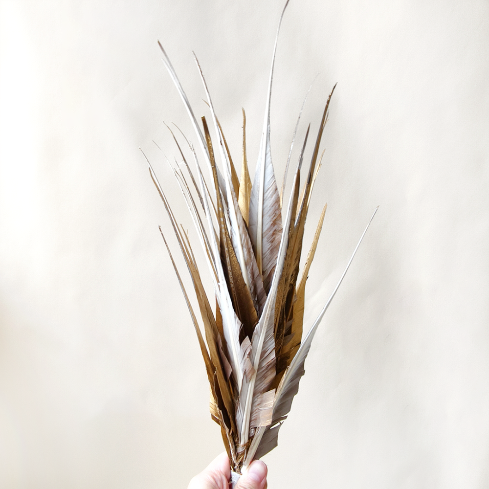 RM1736 Dramatic Sweep Stiffened Goose Hump Feather Mount for Vanguard Millinery