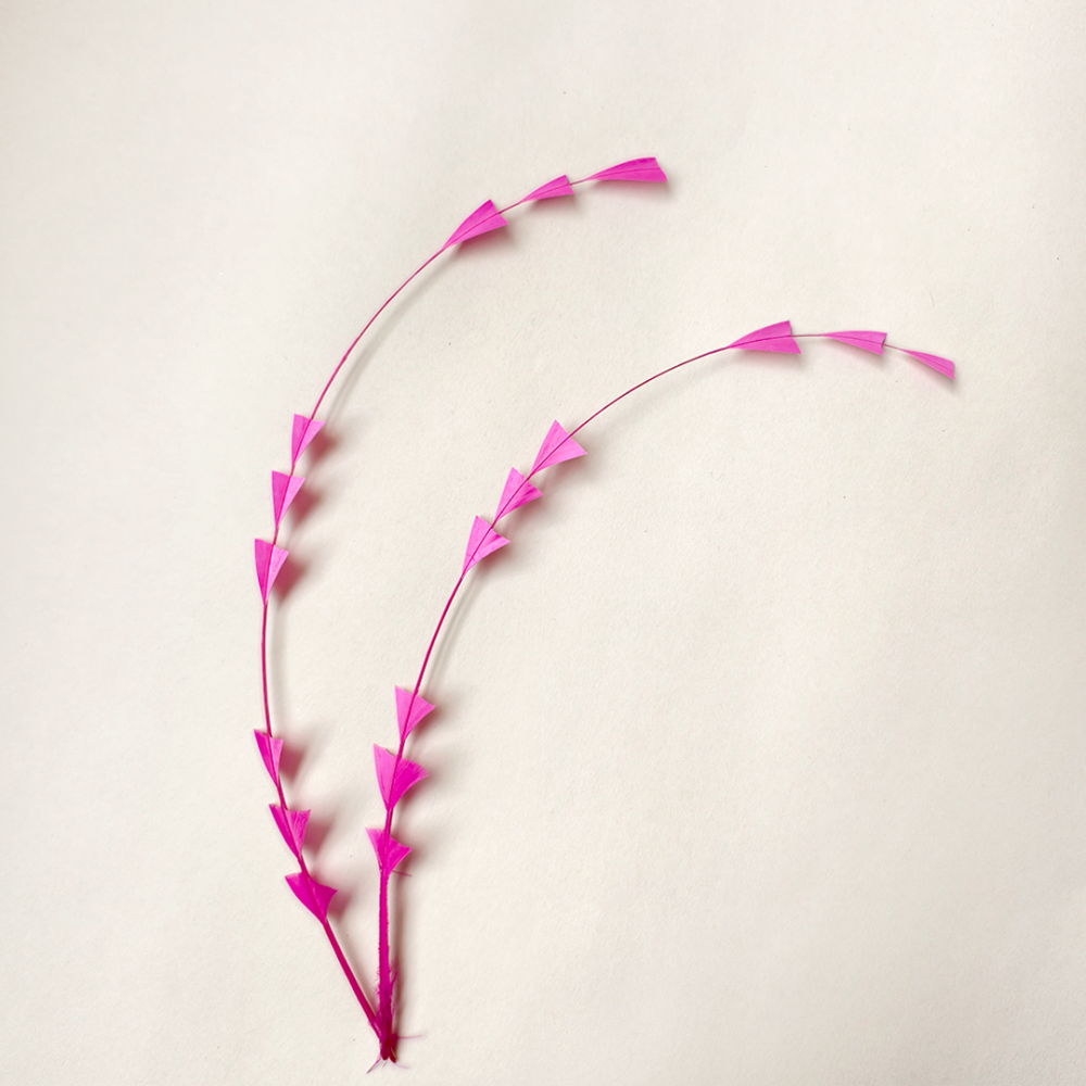 RL-C04 Geometric Arrow-Cut Coque Tail Feathers for Couture Millinery 25pcs/pack