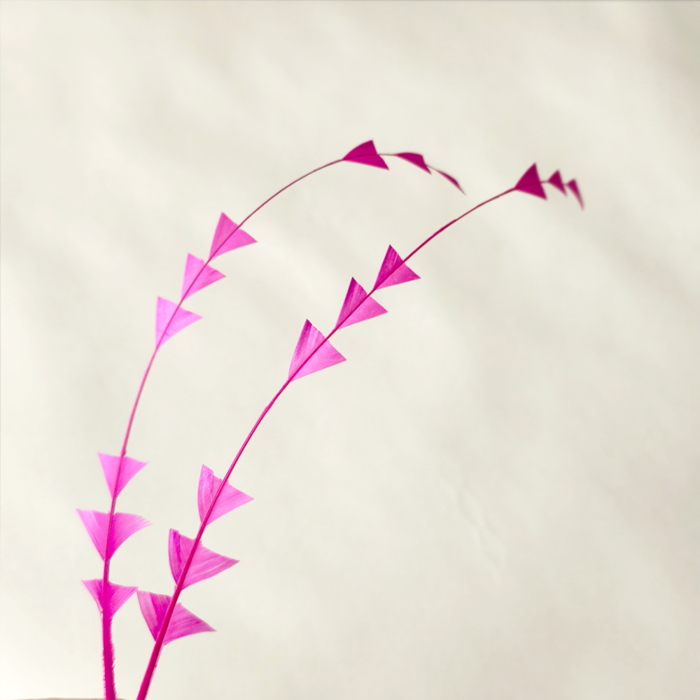 RL-C04 Geometric Arrow-Cut Coque Tail Feathers for Couture Millinery 25pcs/pack