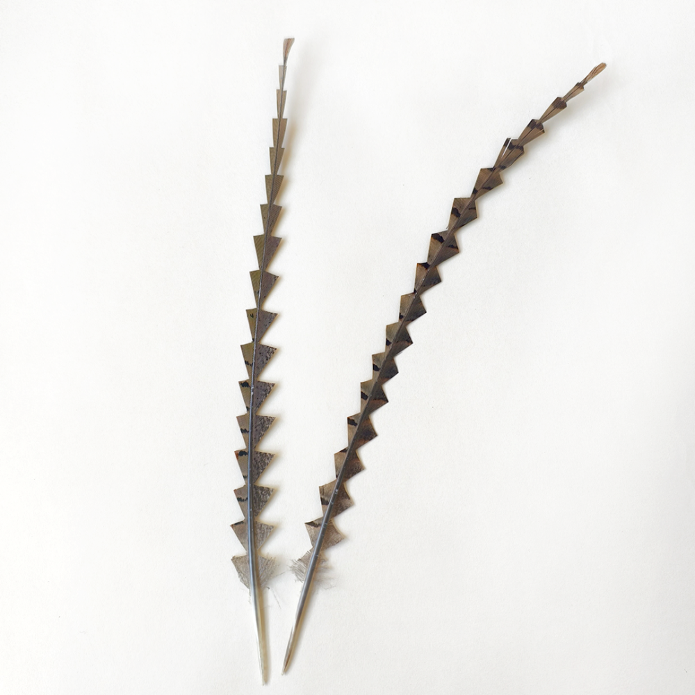RL-GPH Geometric Trimmed Triangle & Diamond Pheasant Feathers for Couture Millinery