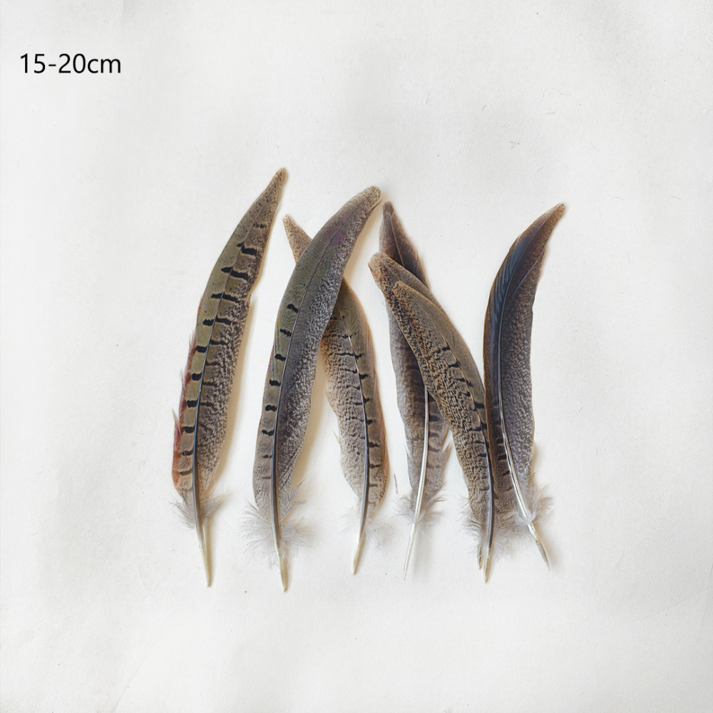 FEA1033 Natural Ringneck Pheasant Centre Feathers for Ascot Derby Millinery One Piece