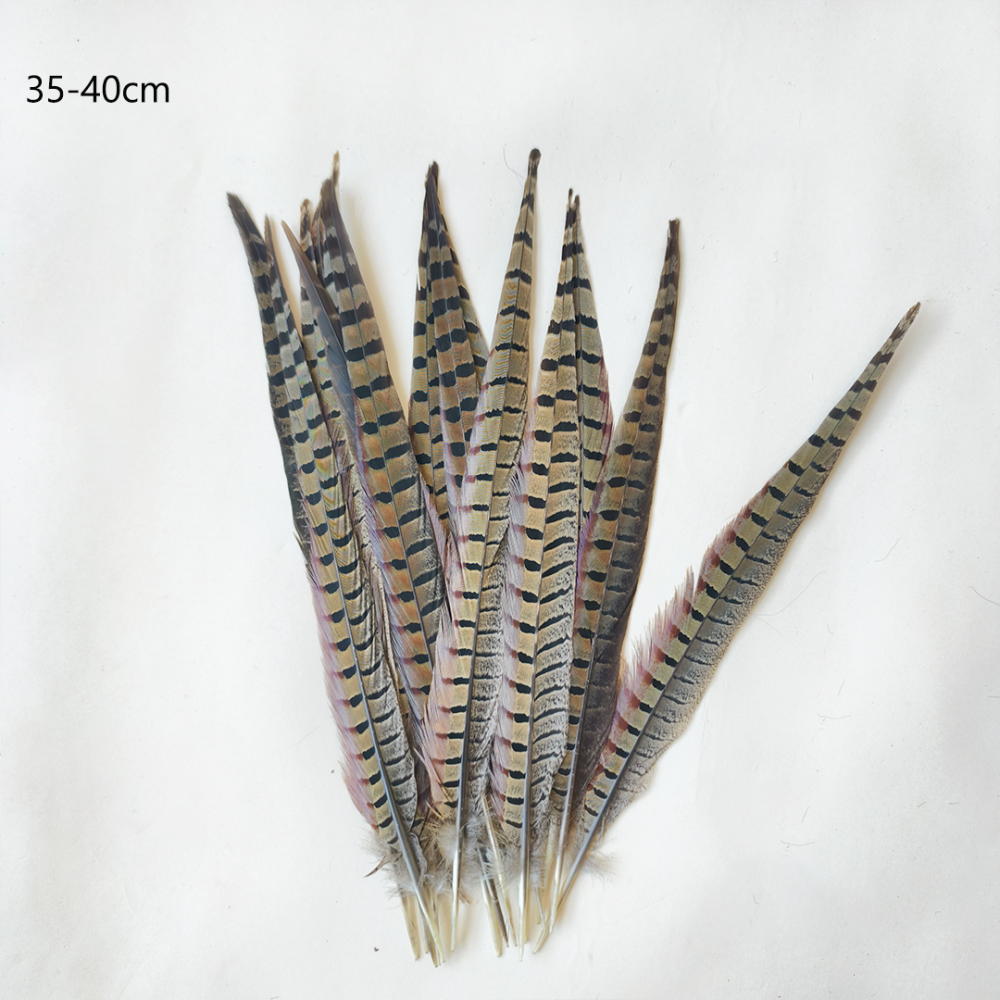 FEA1033 Natural Ringneck Pheasant Centre Feathers for Ascot Derby Millinery One Piece