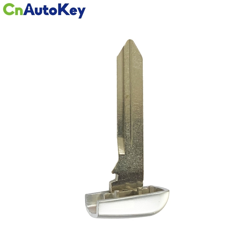 CS017018 Fiat key shell