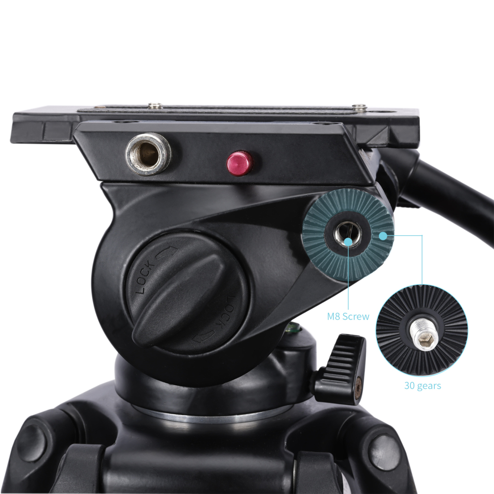 Niceyrig Video Tripod Mount Side Plate with Rosette Mount (30T, M8 Thread)