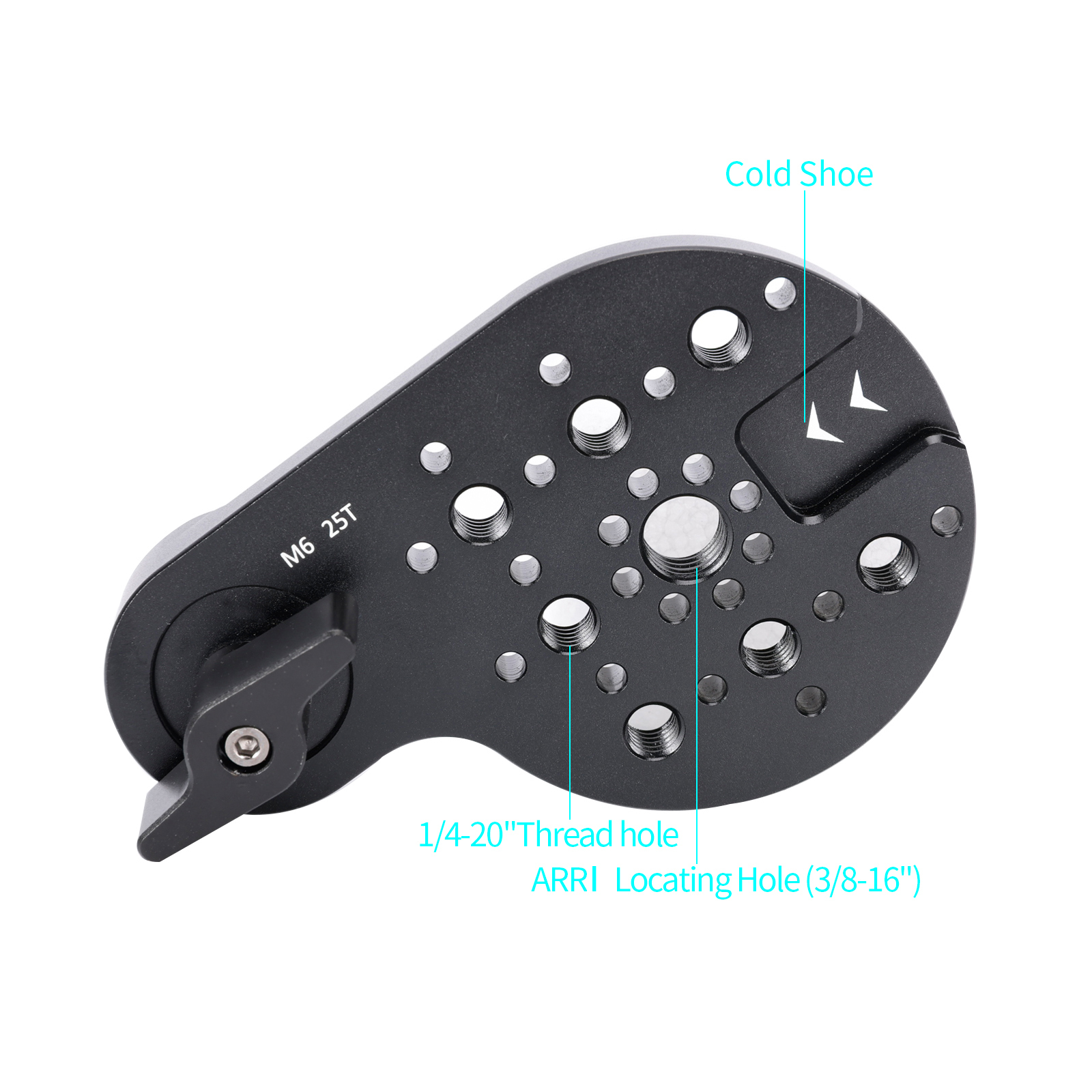 Niceyrig Video Tripod Mount Side Plate Rosette Mount (25T, M6 Thread) with Cold Shoe 1/4&3/8 Arri Locating Holes