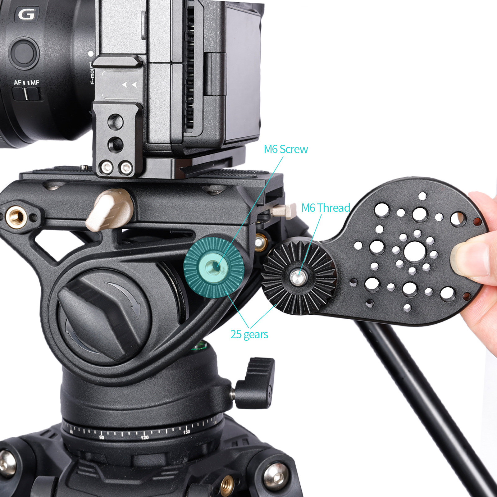 Niceyrig Video Tripod Mount Side Plate Rosette Mount (25T, M6 Thread) with Cold Shoe 1/4&3/8 Arri Locating Holes