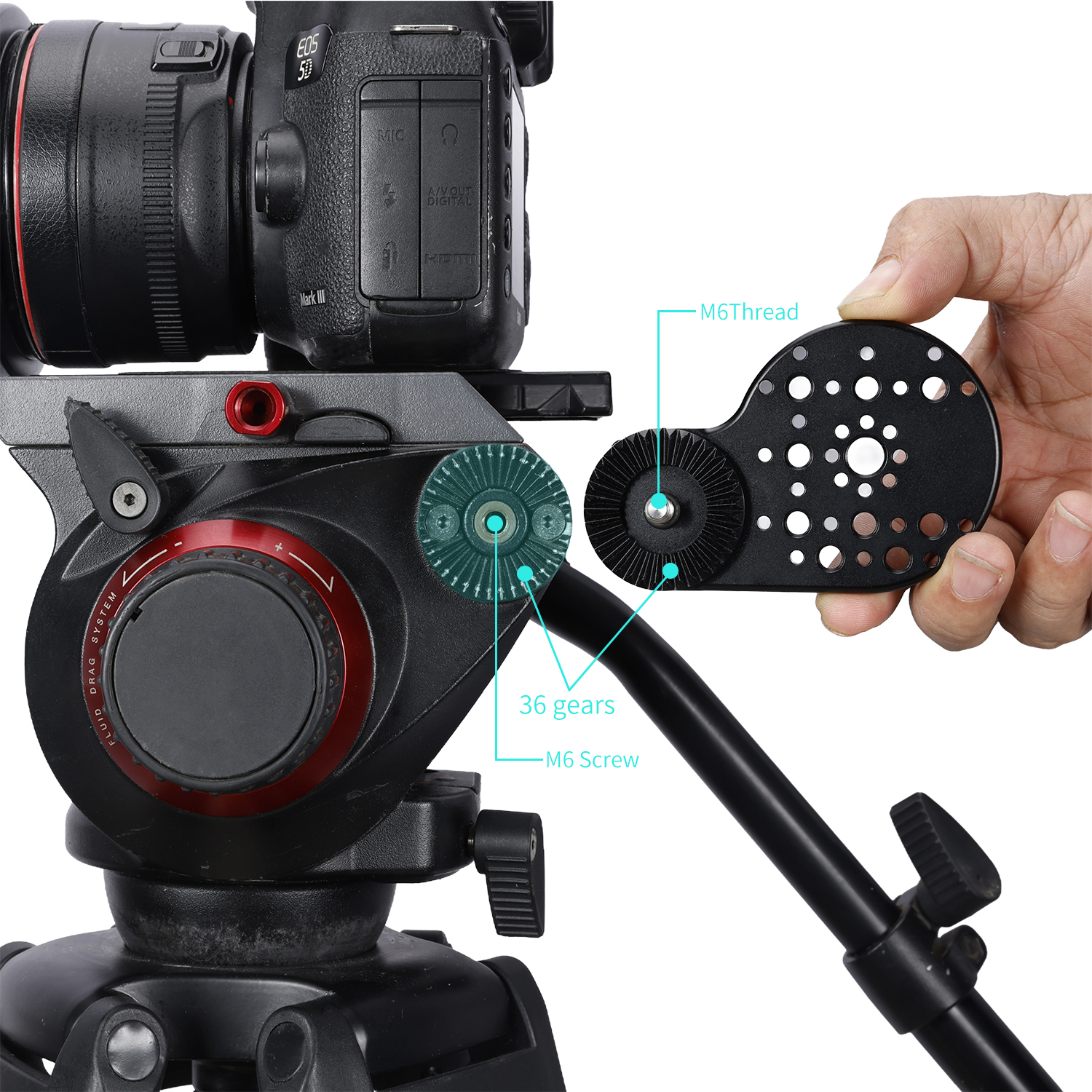 Niceyrig Video Tripod Mount Side Plate Rosette Mount (36T, M6 Thread) with Cold Shoe Mount and 1/4&3/8 Arri Locating Holes