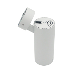 Spot LED 15W pour rail d'éclairage monté en surface