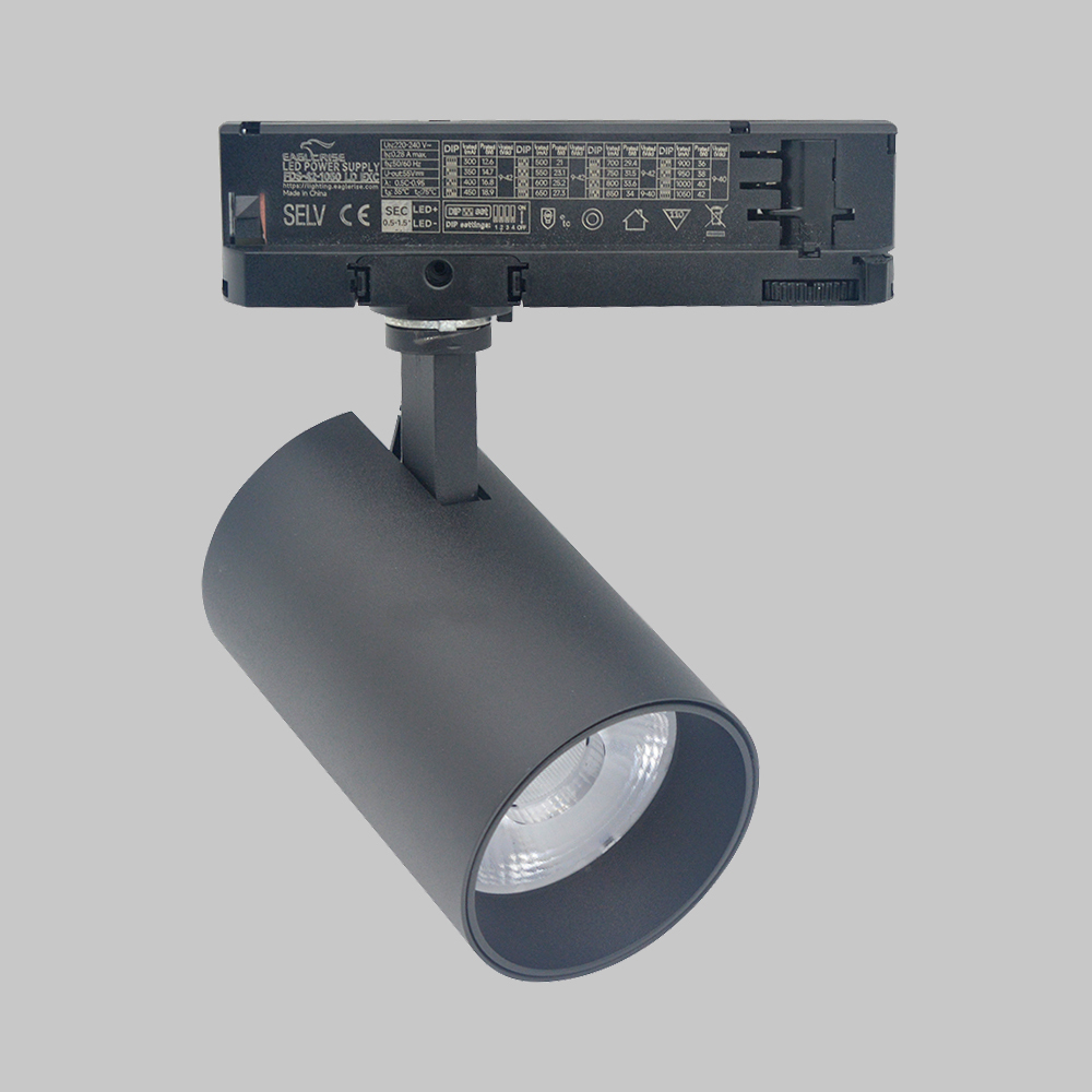 Éclairage sur rail LED commercial 20 W avec pilote Eaglerise avec 95 CRI