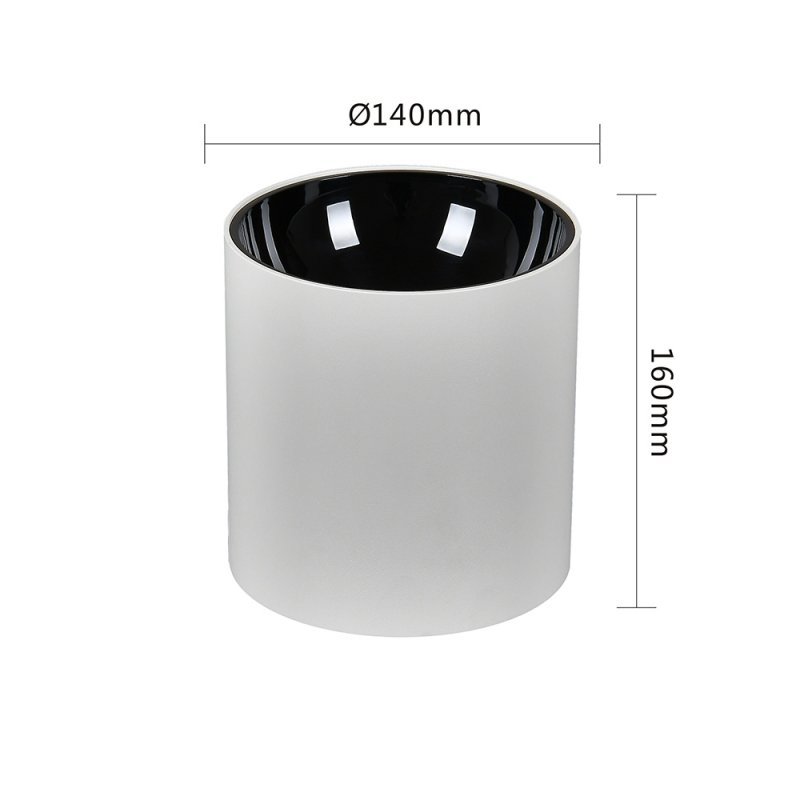 Luminaires en saillie étanches IP65 : éclairage extérieur polyvalent et durable