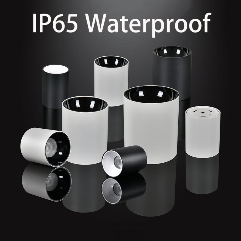 Luminaires en saillie étanches IP65 : éclairage extérieur polyvalent et durable