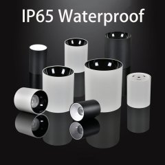 IP65 Waterproof Surface Mounted Light Fixtures