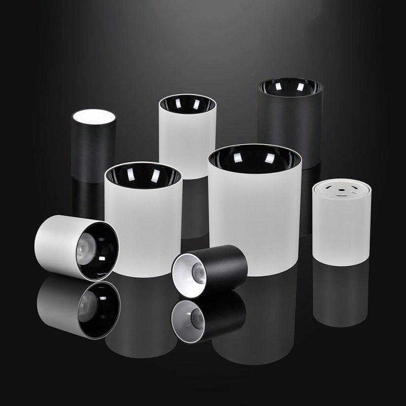 Luminaires en saillie étanches IP65 : éclairage extérieur polyvalent et durable