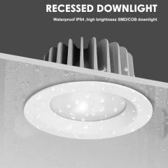 Waterproof IP65 LED Down Lights