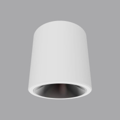 Luminaires en saillie étanches IP65 : des solutions extérieures durables et économes en énergie