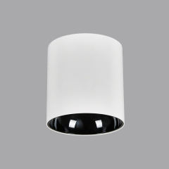 Surface Mounted Downlight Fixtures