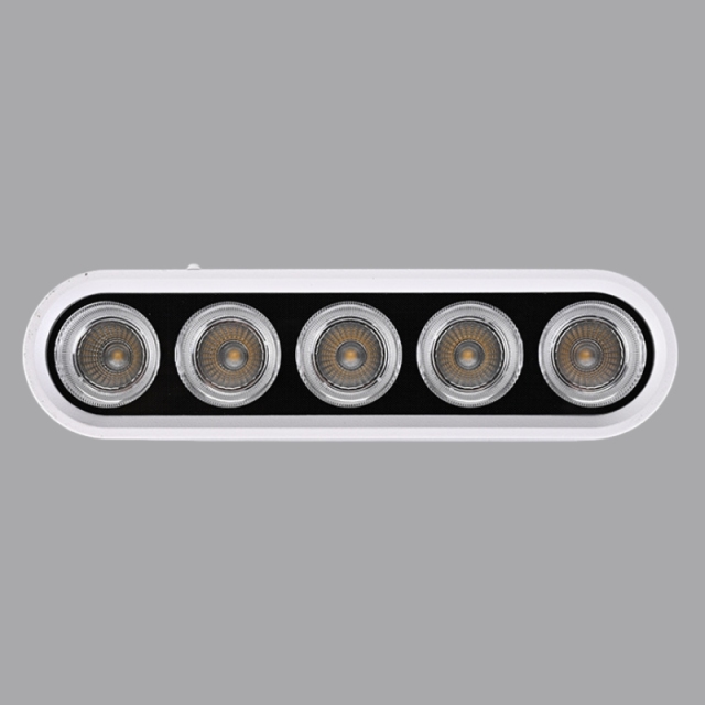 12W 20W 30W LED light track system Manufacturer in China