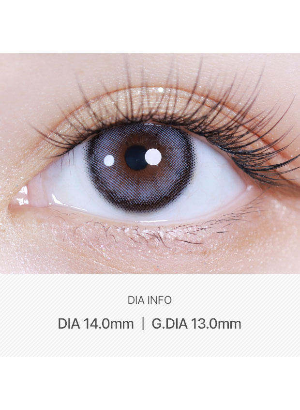 LensVery Celina Gray (1 day / 10p)